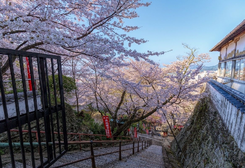 紀三井寺