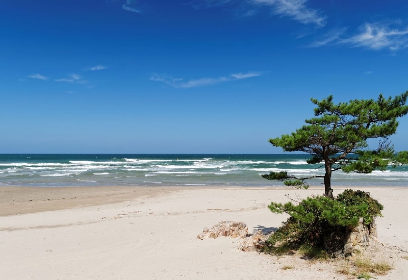 浦富海岸