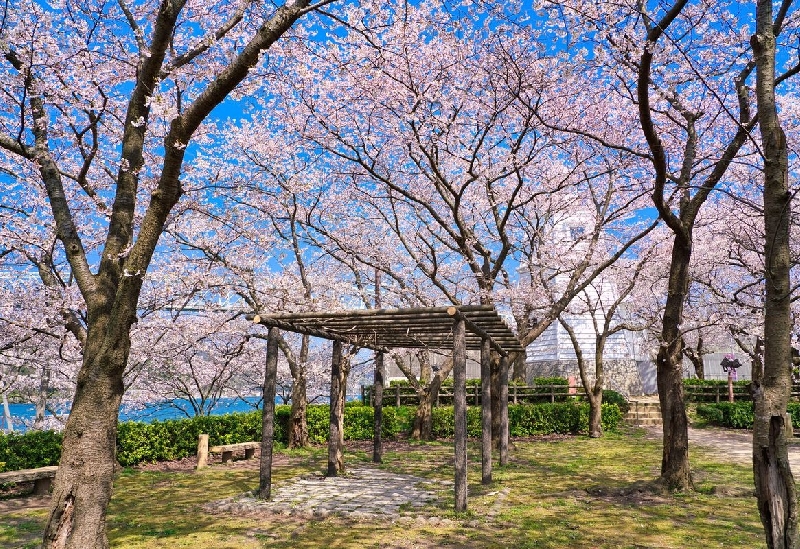 境台場公園