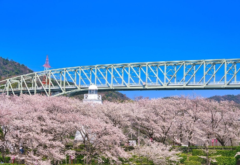 境台場公園