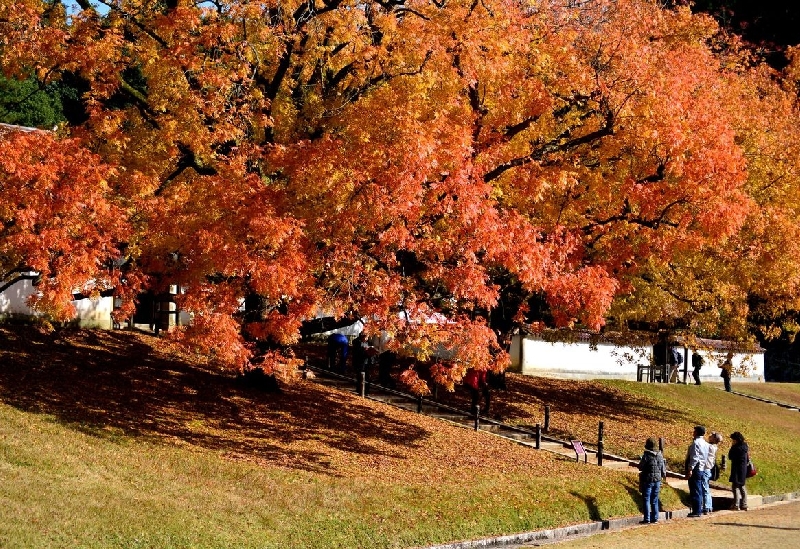 旧閑谷学校