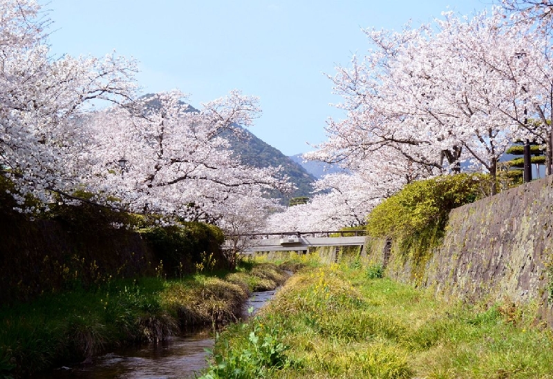 一の坂川