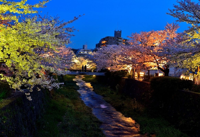 一の坂川