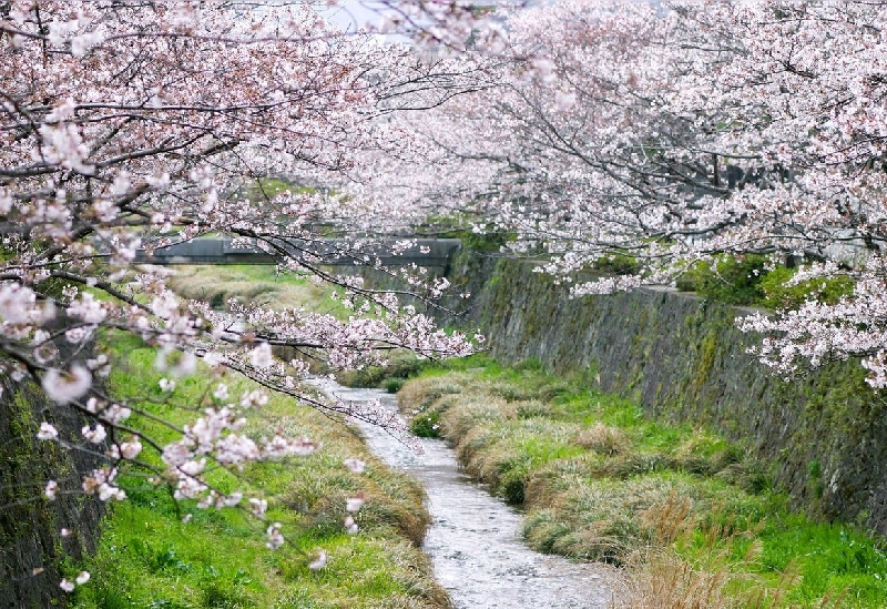 一の坂川