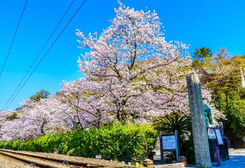 陶山神社