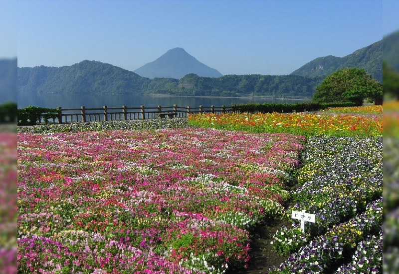 池田湖