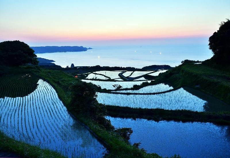 東後畑棚田