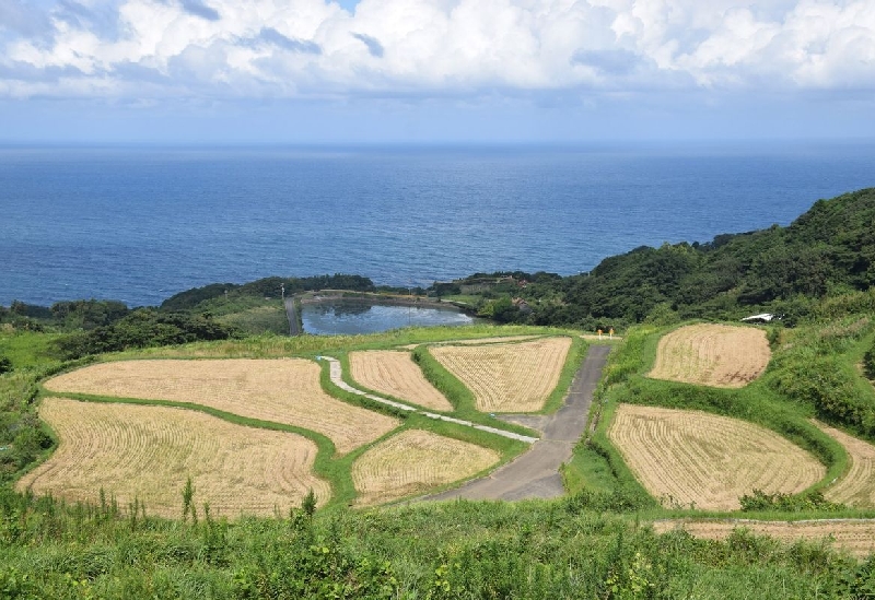 東後畑棚田