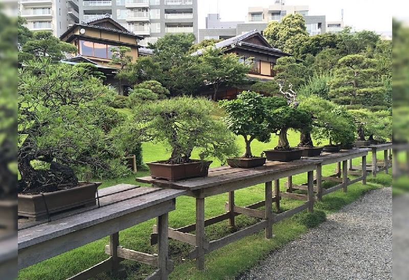 八芳園