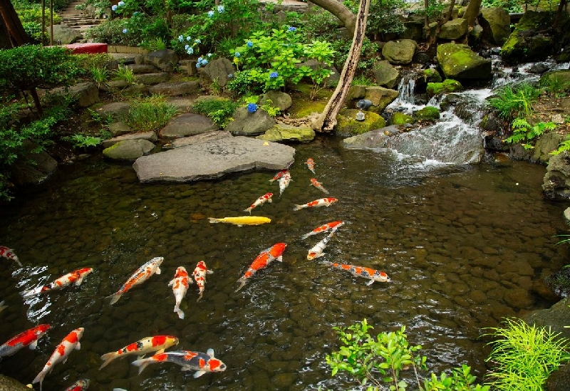 八芳園