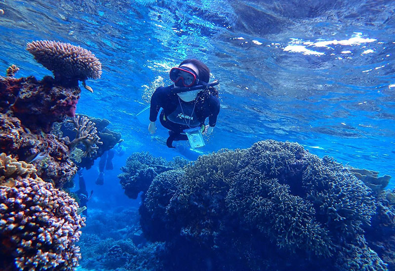 ハーミットクラブ