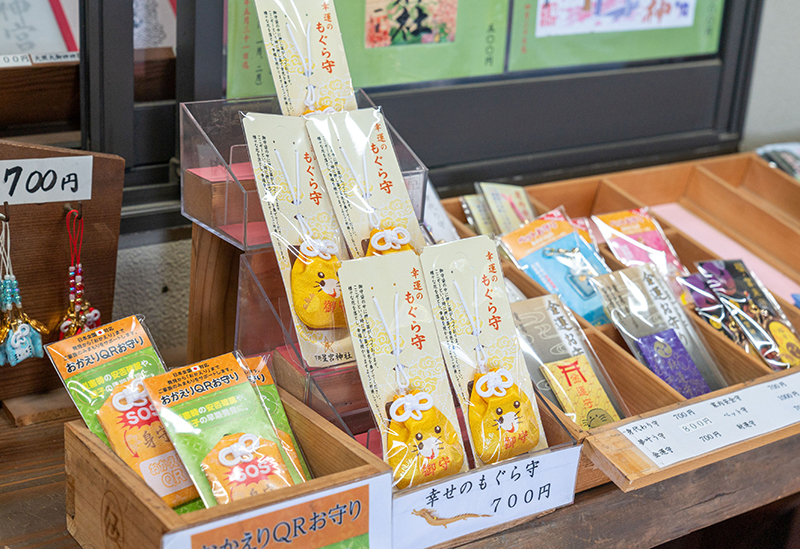 下野星宮神社