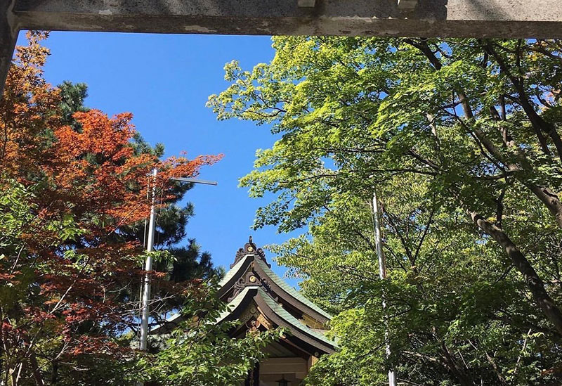 彌彦神社
