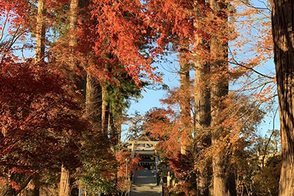 秋の画像2