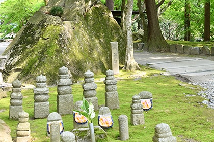 夏の画像2