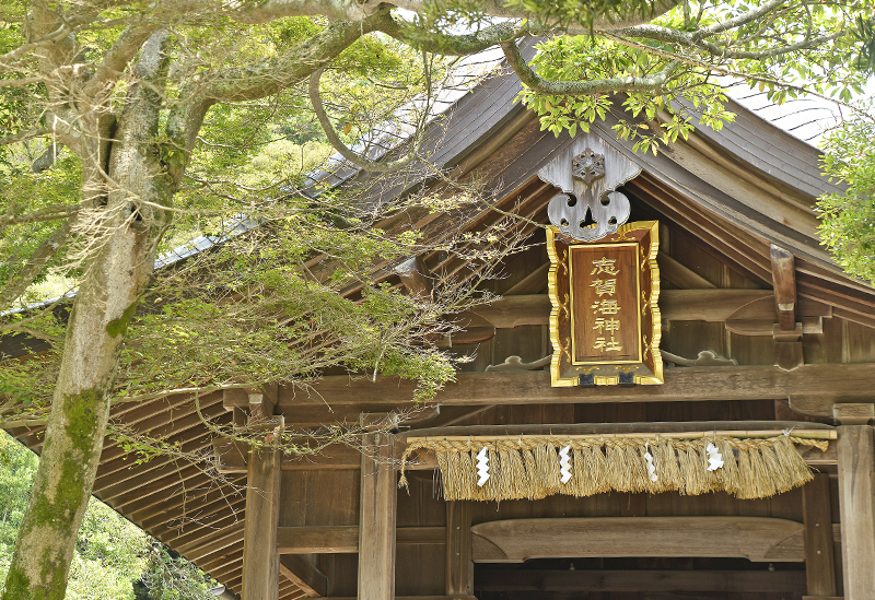 志賀海神社