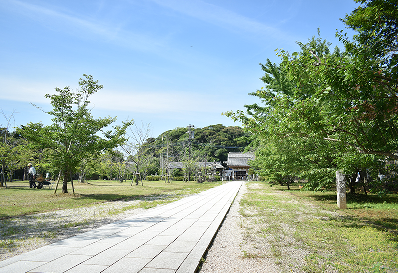 亀岡神社