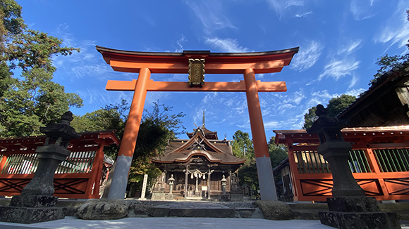 夏の画像1