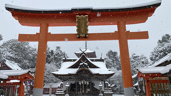 冬の画像1