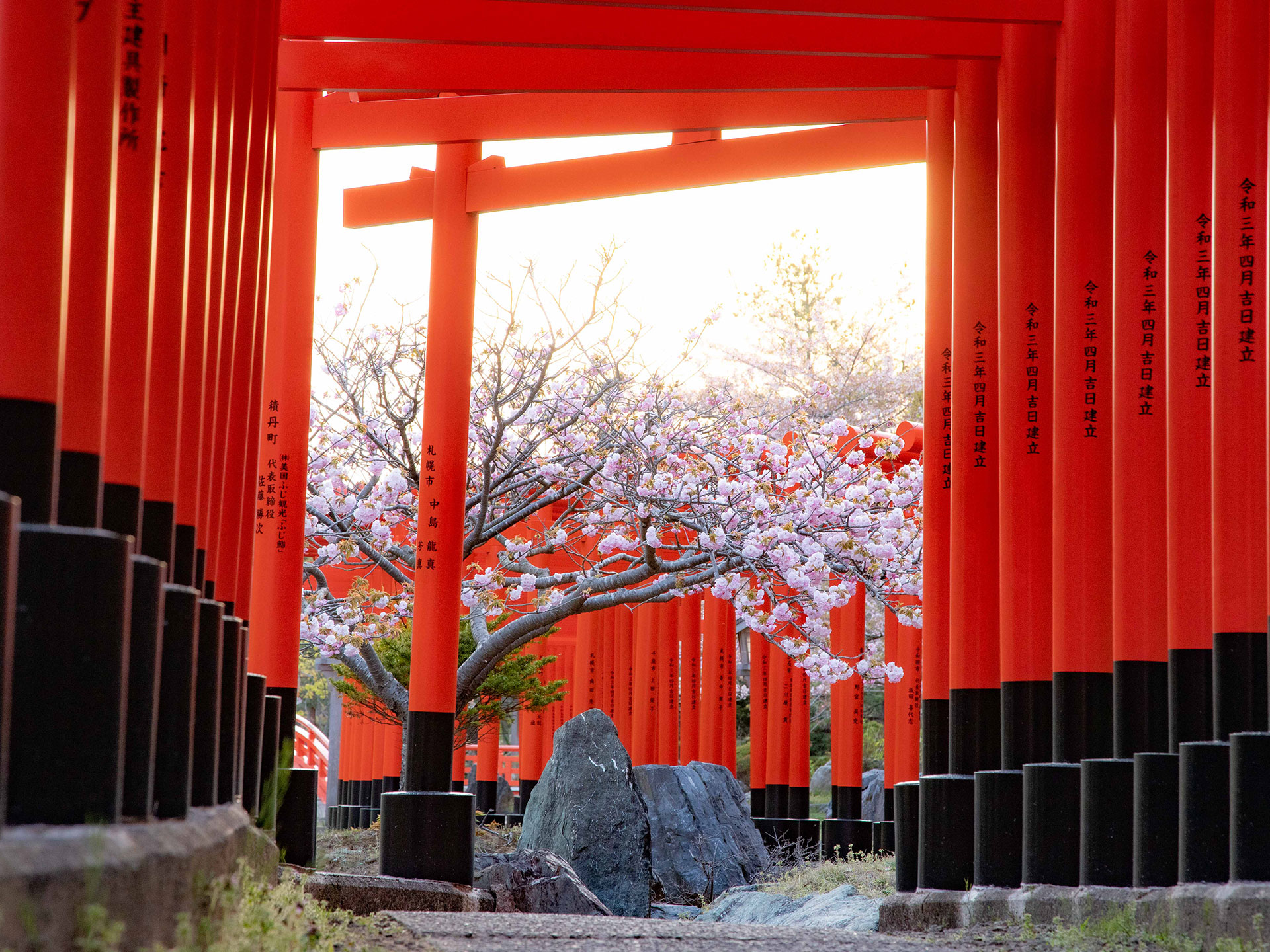 髙山稲荷神社