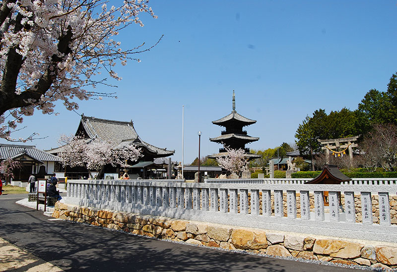 上寺山　餘慶寺