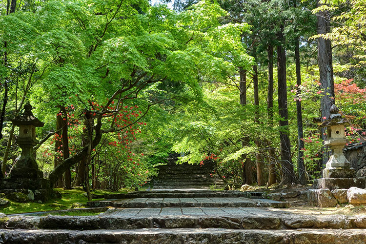 五台山　竹林寺