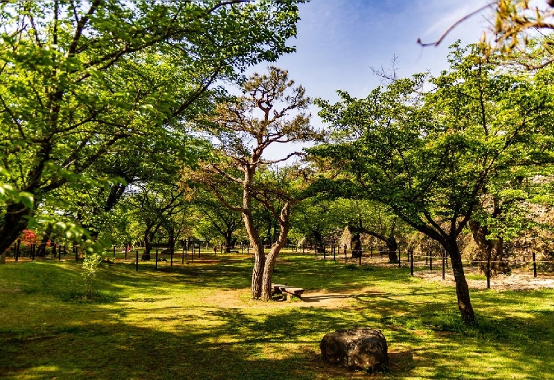 小諸城址懐古園