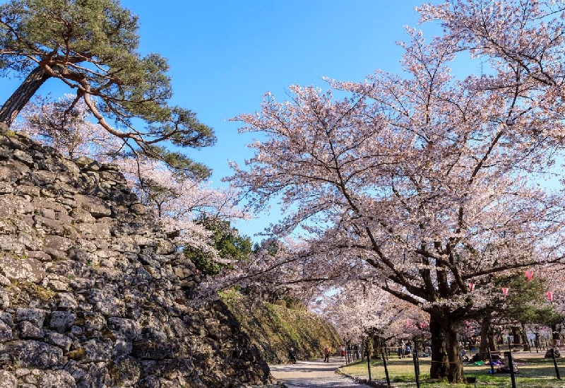 小諸城址懐古園