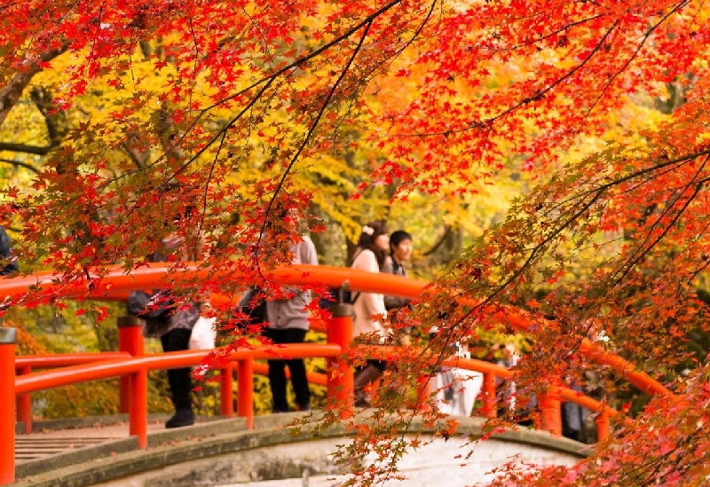 河鹿橋