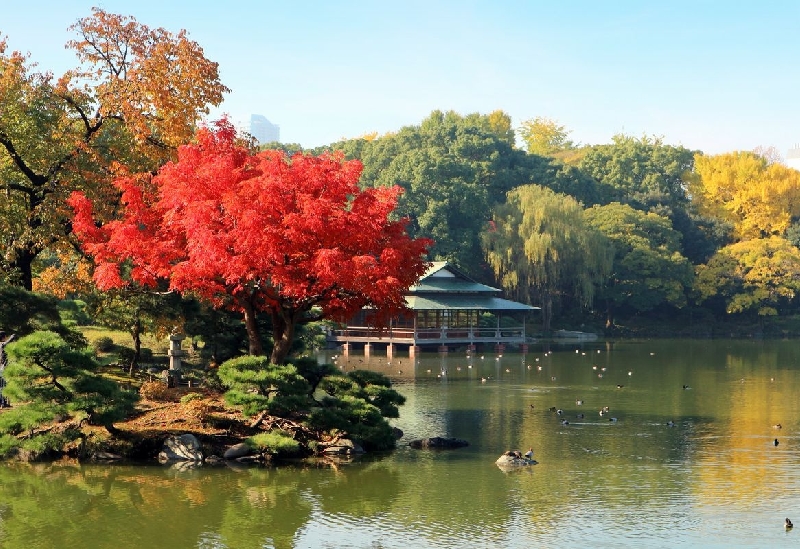 清澄庭園