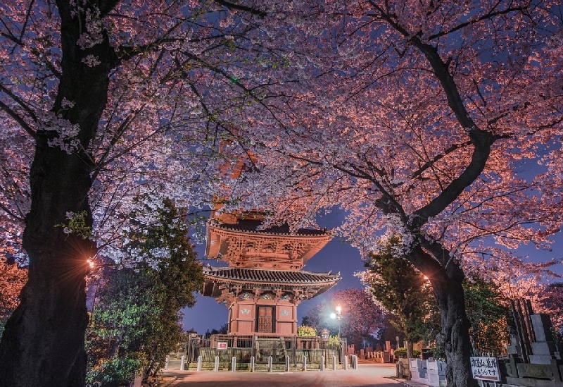 池上本門寺