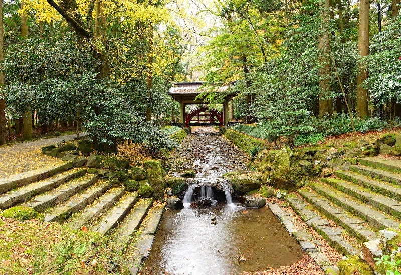 彌彦神社