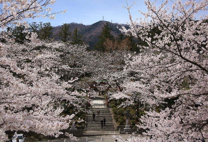 彌彦神社