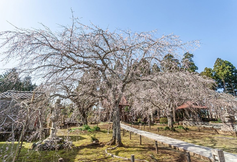 妙宣寺