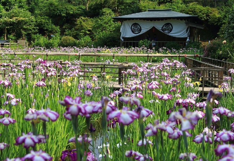 大安禅寺