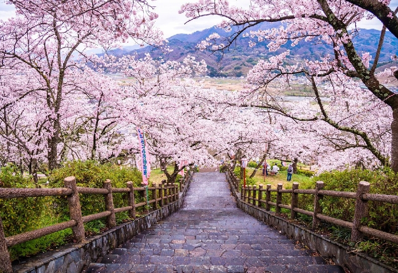 大法師公園