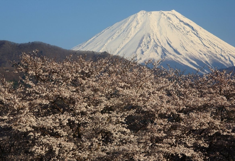 大法師公園