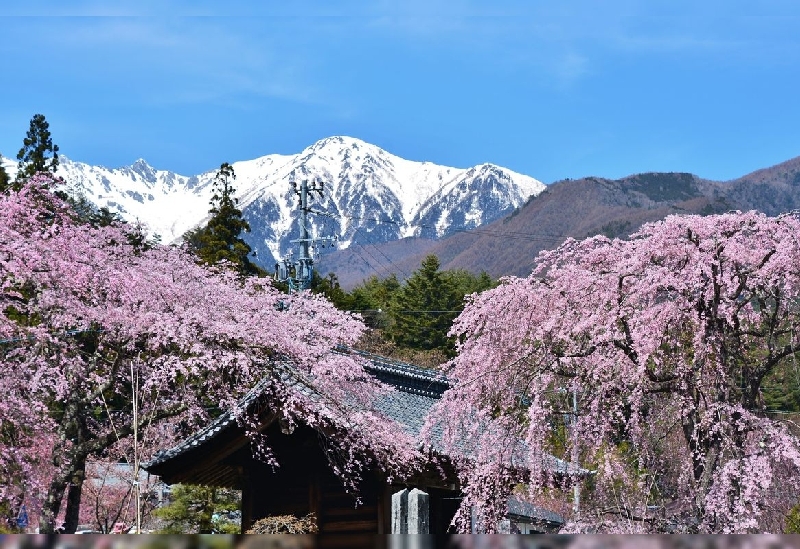 光前寺