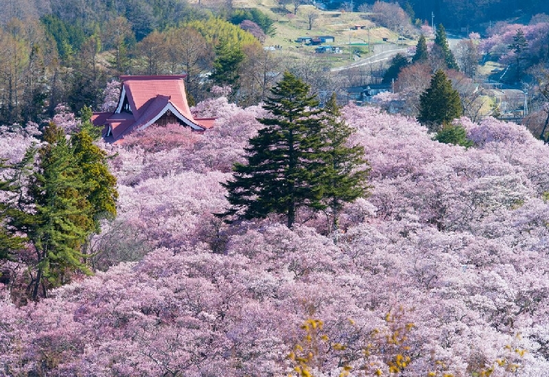 高遠城址公園