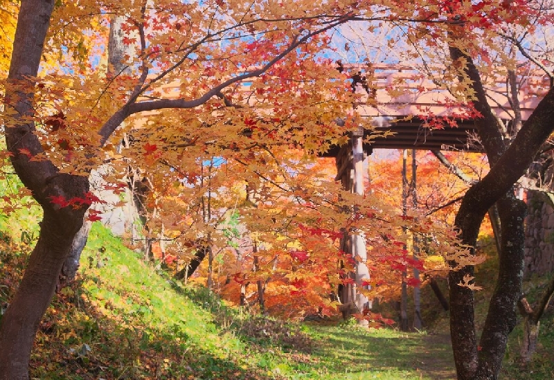 高遠城址公園