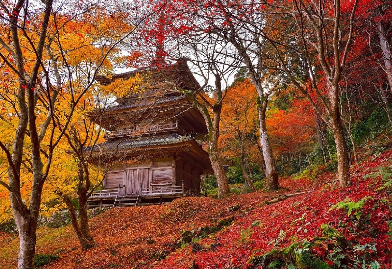 高源寺