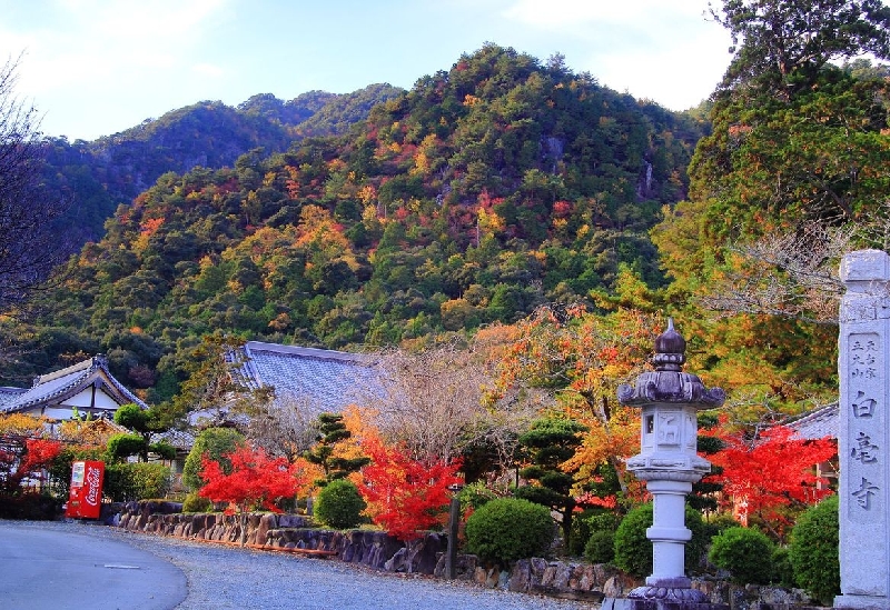 白毫寺