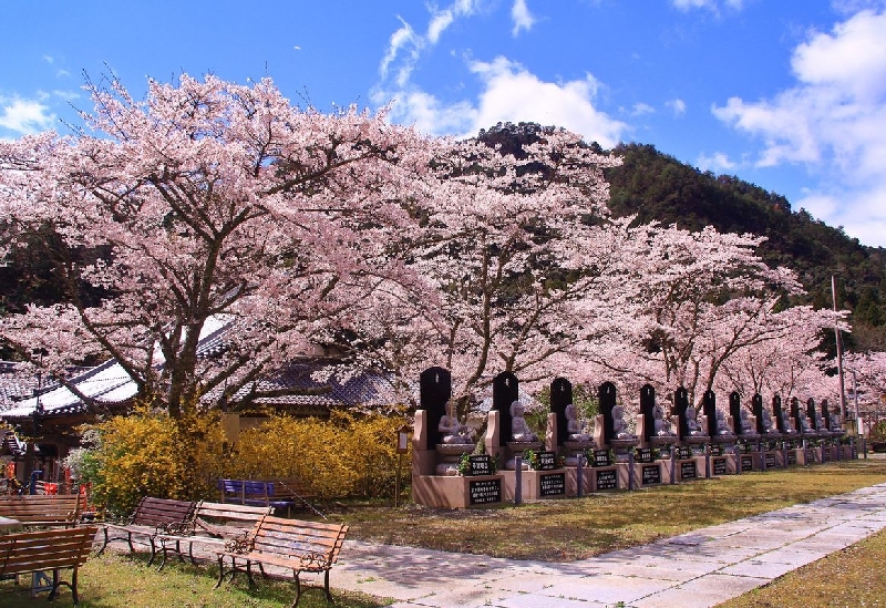 白毫寺