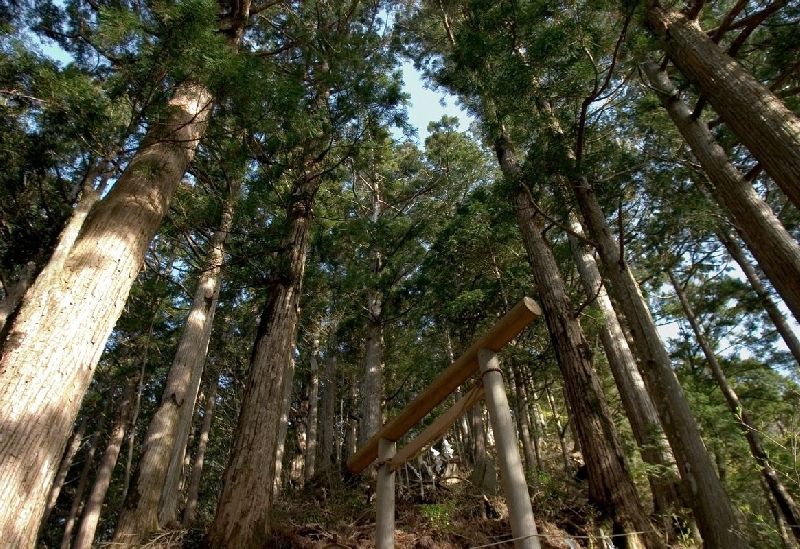 十津川・大台ケ原