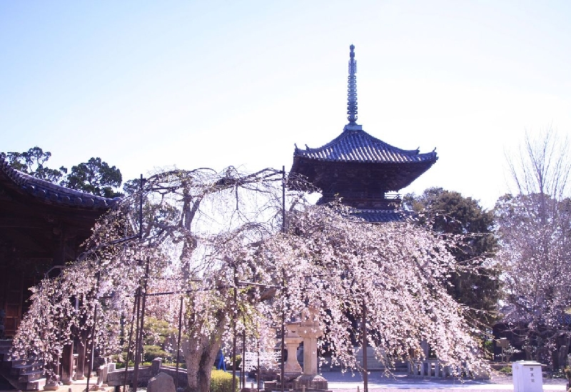 道成寺