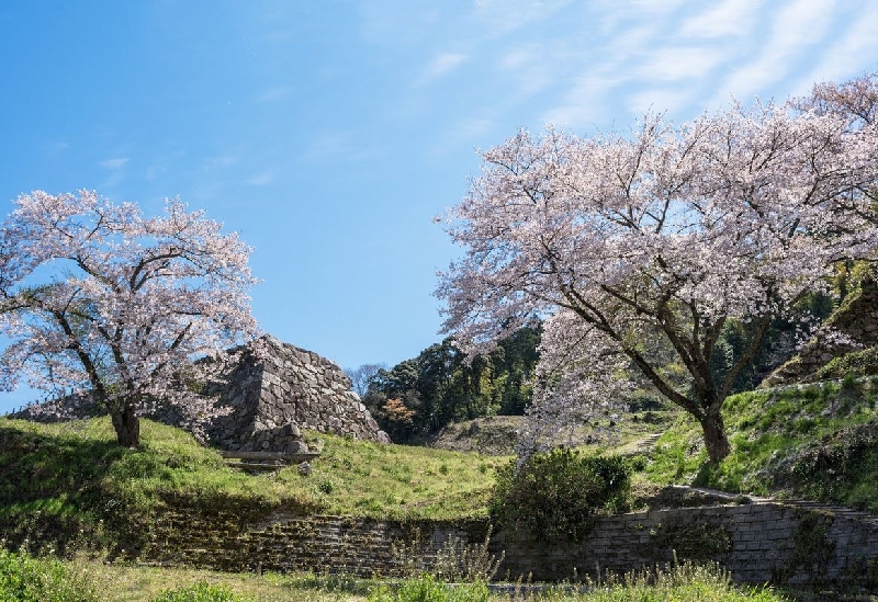 月山富田城