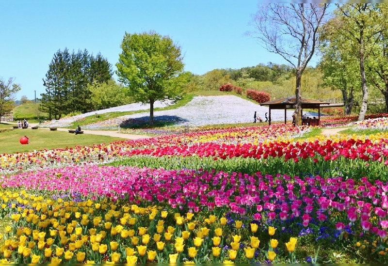 国営讃岐まんのう公園