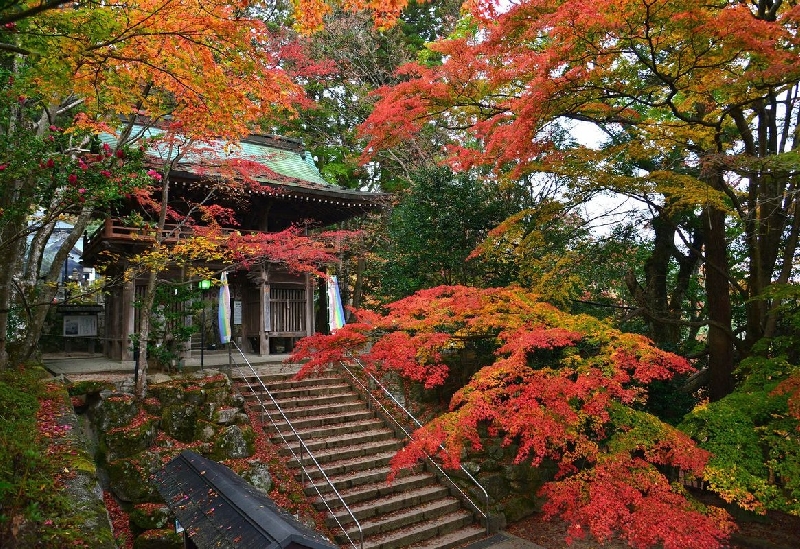 大窪寺