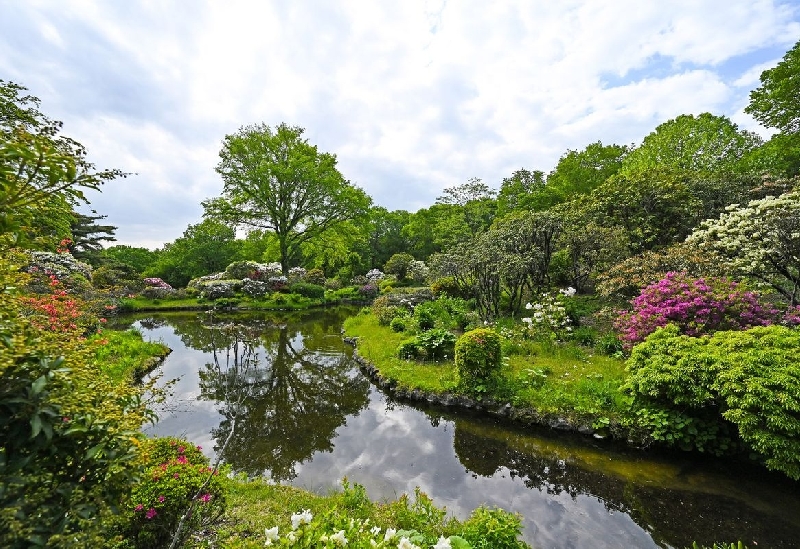 赤城自然園