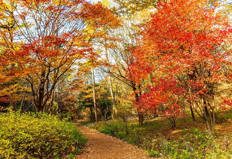 赤城自然園